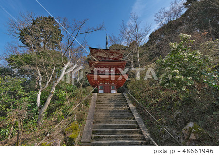 【浄瑠璃寺】 (高解像度版) 京都府木津川市加茂町西小礼場 48661946