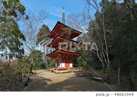 【浄瑠璃寺】 (高解像度版) 京都府木津川市加茂町西小礼場 48661949