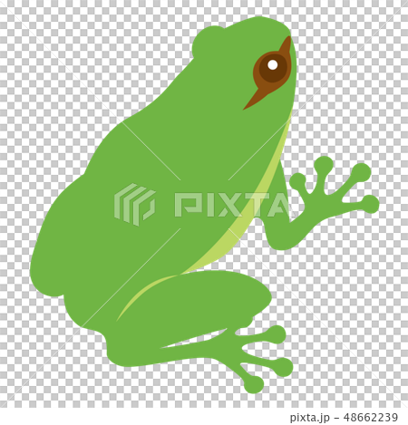 A frog A frog 48662239