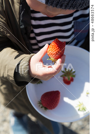イチゴ狩り 48663574