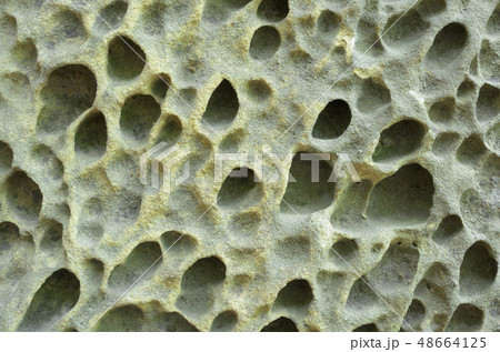 Texture of stone 48664125