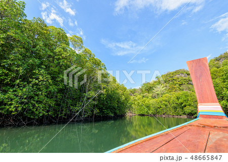 Cruise to Crocodile Cave at Koh Tarutao, Thailand 48665847
