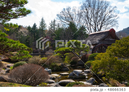 【山梨県】忍野村　忍野八海　富士山 48666363