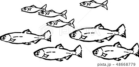 和風の魚のイラスト素材