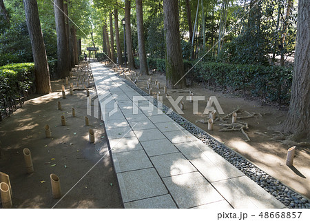 大田黒公園にある御影石の園路（東京都杉並区） 48668857