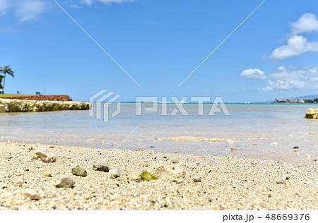 ハワイの休日 ハワイの休日 48669376