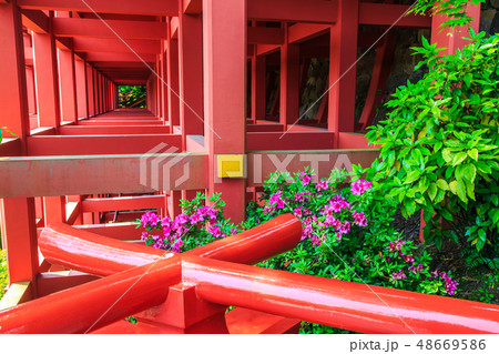 新緑の祐徳稲荷神社　【佐賀県鹿島市】 48669586