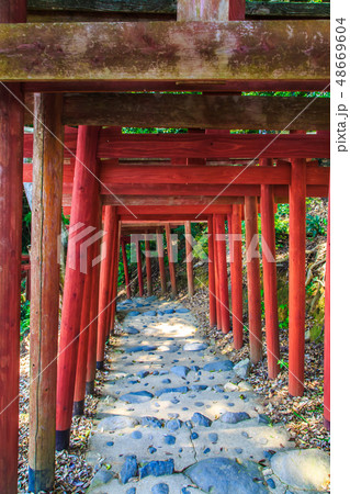 新緑の祐徳稲荷神社 【佐賀県鹿島市】 新緑の祐徳稲荷神社 【佐賀県鹿島市】 48669604