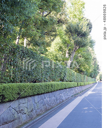 日本庭園の垣根(東京都杉並区) 日本庭園の垣根(東京都杉並区) 48669826