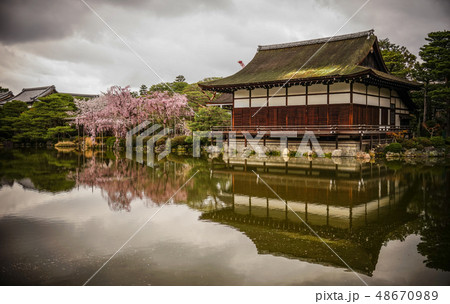 Ancient wooden palace with cherry blossom Ancient wooden palace with cherry blossom 48670989