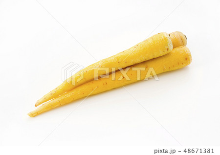 島にんじん 島にんじん 48671381
