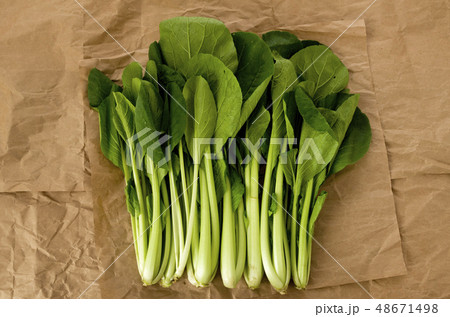小松菜 クラフト紙背景 小松菜 クラフト紙背景 48671498