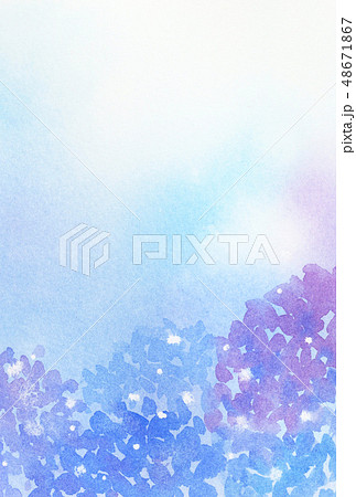 紫陽花の背景 ハガキサイズのイラスト素材 [48671867] …