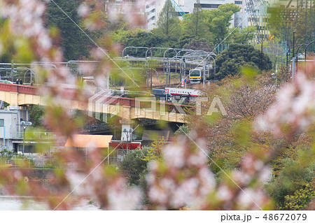 桜と総武線209系 48672079