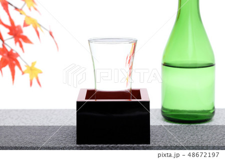 お酒　日本酒 48672197