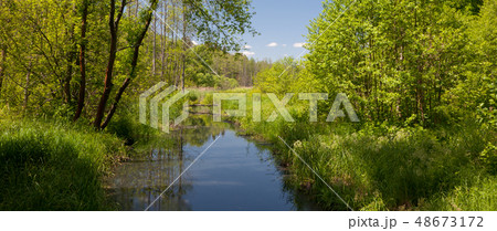 tural Lesna river in summer midday tural Lesna river in summer midday 48673172