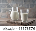 Milk in a glass and jug 48673576