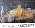 Cheese, Milk and Eggs 48673577