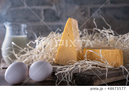 Cheese, Milk and Eggs 48673577