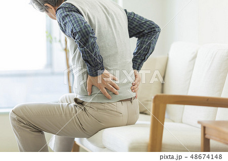 シニア男性　腰痛 48674148