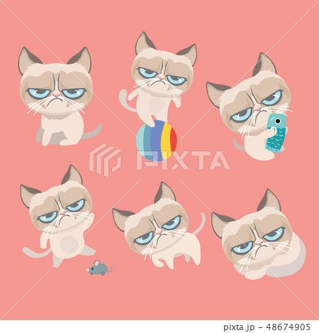 Funny vector set of grumpy cat.. 48674905