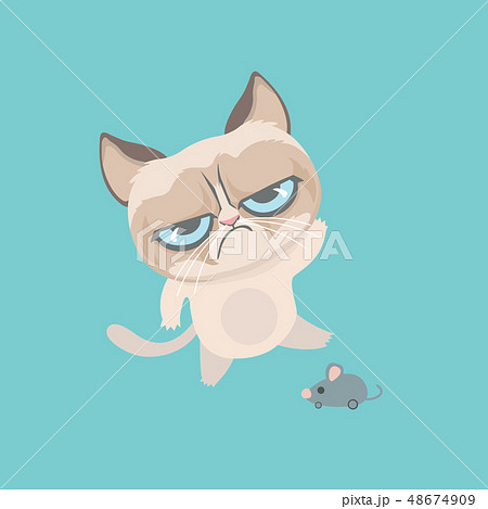 Cute grumpy cat. Vector Illustration.のイラスト素材 [48674909] - PIXTA