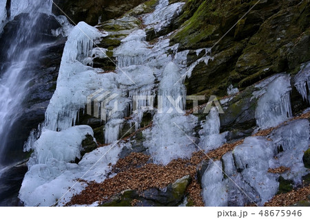奥秩父大滝栃本の氷結する大除沢不動滝 48675946
