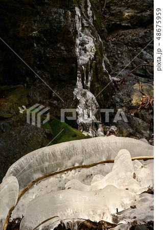 奥秩父大滝栃本の氷結する大除沢不動滝 48675959