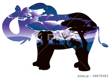 African Night with Elephant 48676463