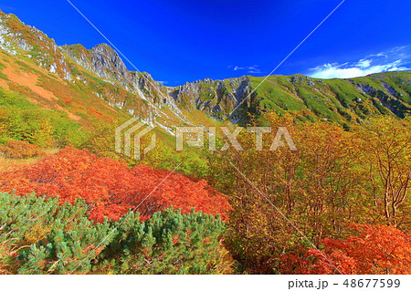 【長野県】紅葉最盛期の駒ヶ岳千畳敷カール 【長野県】紅葉最盛期の駒ヶ岳千畳敷カール 48677599