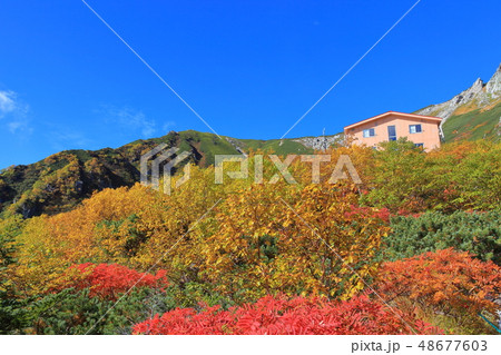 【長野県】紅葉最盛期の駒ヶ岳千畳敷カール 48677603