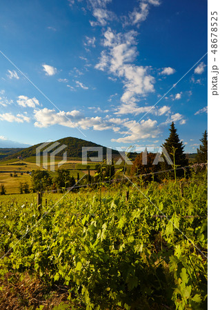 Landscape in Tuscany Landscape in Tuscany 48678525