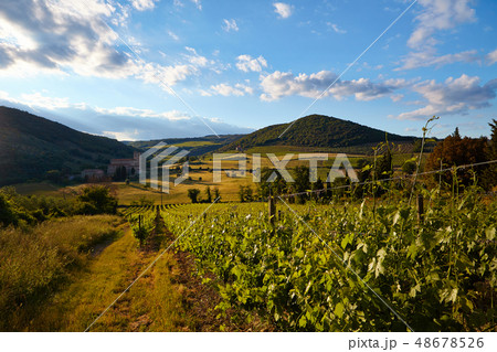 Landscape in Tuscany 48678526