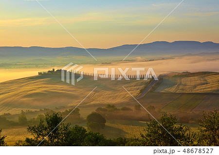 Landscape in Tuscany at sunset in summer Landscape in Tuscany at sunset in summer 48678527