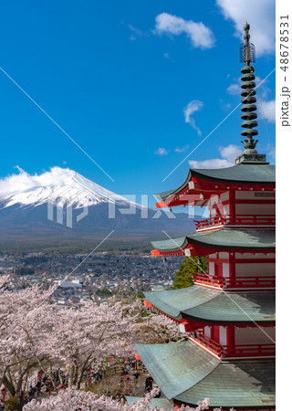 富士山 忠霊塔 満開の桜 新倉山浅間公園 春のイメージ 染井吉野 青空の自然背景 山梨県 富士吉田 富士山 忠霊塔 満開の桜 新倉山浅間公園 春のイメージ 染井吉野 青空の自然背景 山梨県 富士吉田 48678531