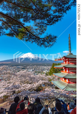 写真を撮る観光客　富士山　忠霊塔　満開の桜　新倉山浅間公園　春のイメージ　染井吉野　青空の自然背景 48678532