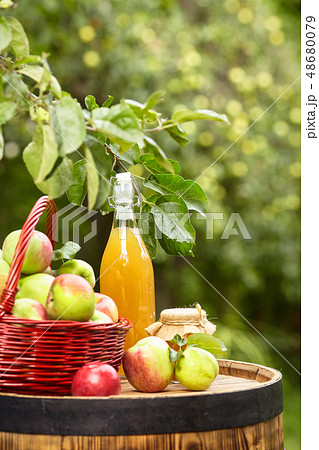apples on background orchard  on a barrel. 48680079