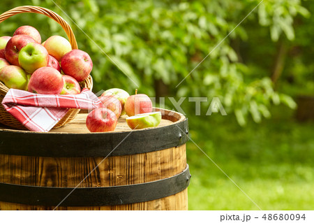 apples on garden background on the old barrel 48680094