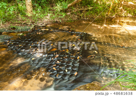 Carvings lingam underwater, Kbal Spean waterfall 48681638