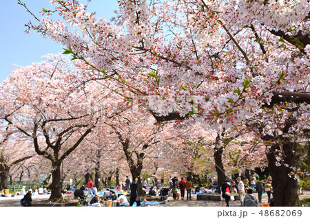 横浜・幸ケ谷公園 横浜・幸ケ谷公園 48682069