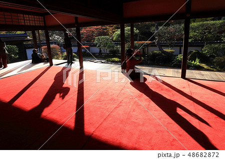 紅葉・正暦寺福寿院客殿【奈良県奈良市】 紅葉・正暦寺福寿院客殿【奈良県奈良市】 48682872