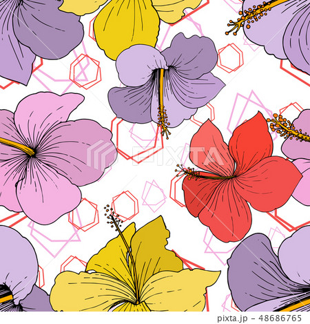 Vector Hibiscus floral tropical flowers. Engraved ink art on white background. Seamless background Vector Hibiscus floral tropical flowers. Engraved ink art on white background. Seamless background 48686765