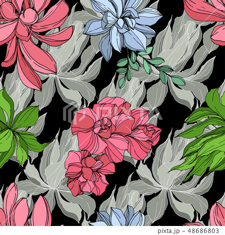 Vector Jungle botanical succulent flower. Engraved ink art illustration. Seamless background pattern 48686803