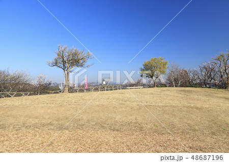 田浦梅園 48687196