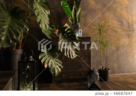 Vintage wooden chest of drawers close-up indoors with flowers and brown wall Vintage wooden chest of drawers close-up indoors with flowers and brown wall 48687647