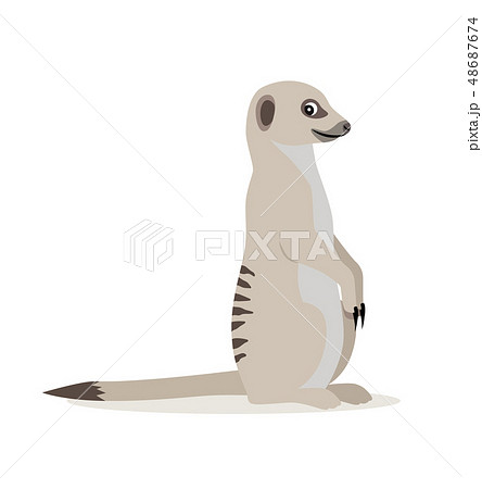 African Wild Animal Cute Suricate Meerkat のイラスト素材
