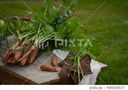 Carrots, first spring summer crop. Healthy food, Carrots, first spring summer crop. Healthy food, 48688025
