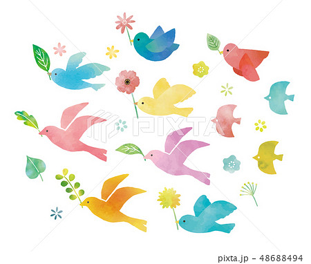 Birds And Greenery And Flowers Stock Illustration