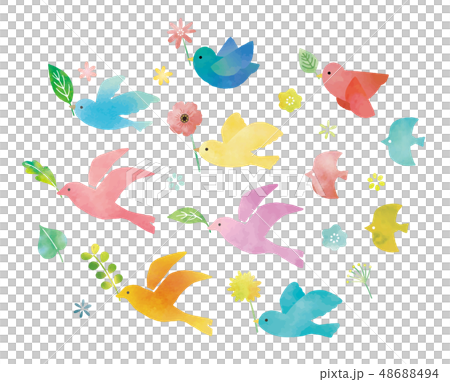 Birds and greenery and flowers 48688494
