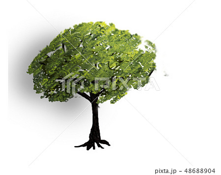 日の光を浴びる樹木 48688904